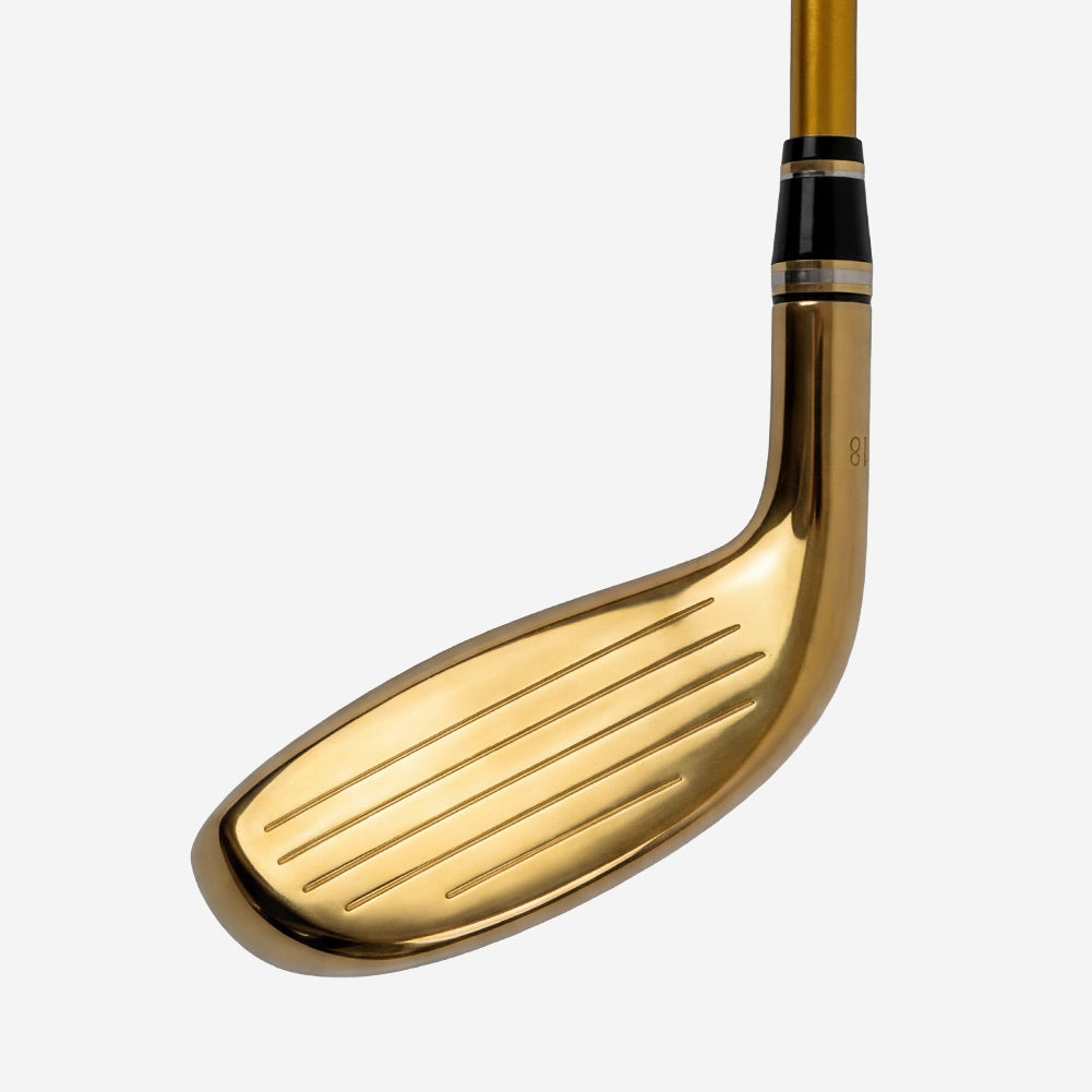 Demo of Honma Beres05 5-Star Men Hybrid