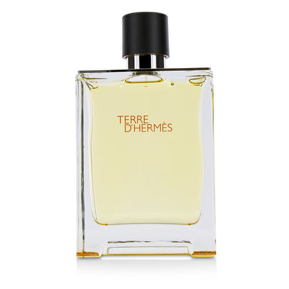 Hermes Terre D'Hermes Eau De Toilette Spray  100ml/3.4oz