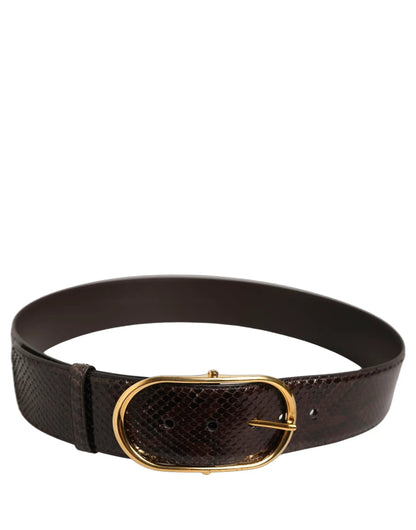 Dolce & Gabbana Brown Python Leather Gold Metal Buckle Belt