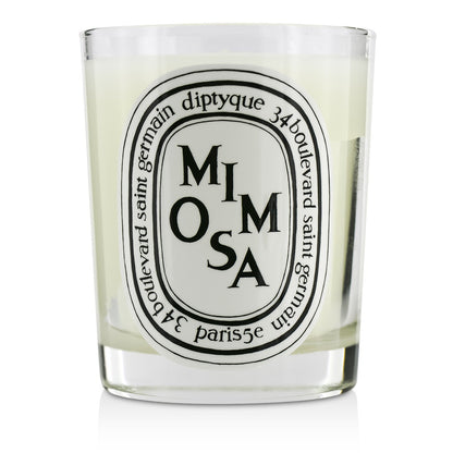 Diptyque Scented Candle - Mimosa  70g/2.4oz