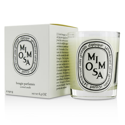 Diptyque Scented Candle - Mimosa  70g/2.4oz