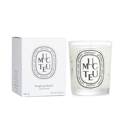 Diptyque Scented Candle - Muguet (Lily of The Valley)  190g/6.5oz