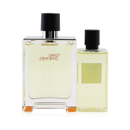 Hermes Terre D'Hermes Coffret: Eau De Toilette Spray 100ml/3.3oz + Hair And Body Shower Gel 80ml/2.7oz  2pcs