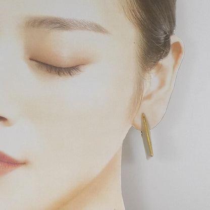 Bottega Veneta 925 Earrings