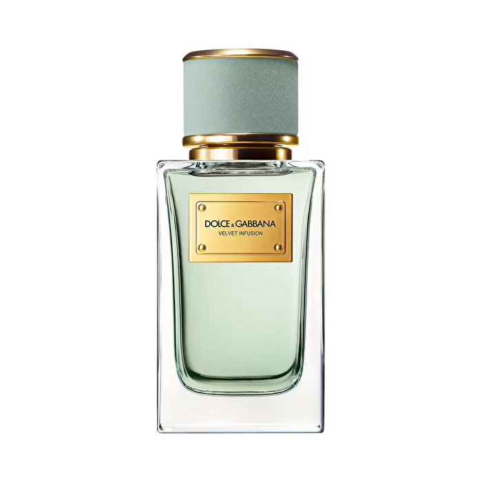 Dolce & Gabbana Dolce And Gabbana Dolce And Gabbana Dolce And Gabbana Dolce And Gabbana Dolce And Gabbana Dolce And Gabbana D Y G Velvet Infusion Eau De Parfum 100ml