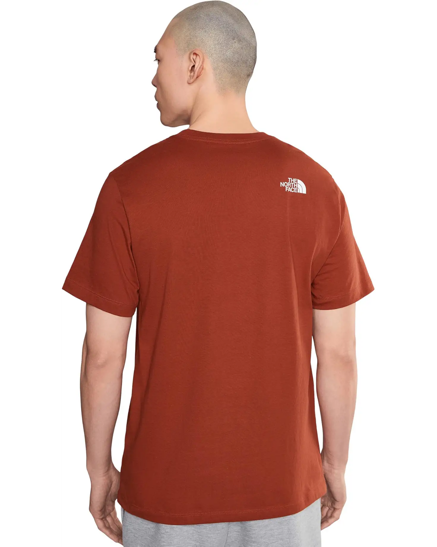 The North Face - Short Sleeve Evolution Half Dome Tee - Men's - Iron Clay