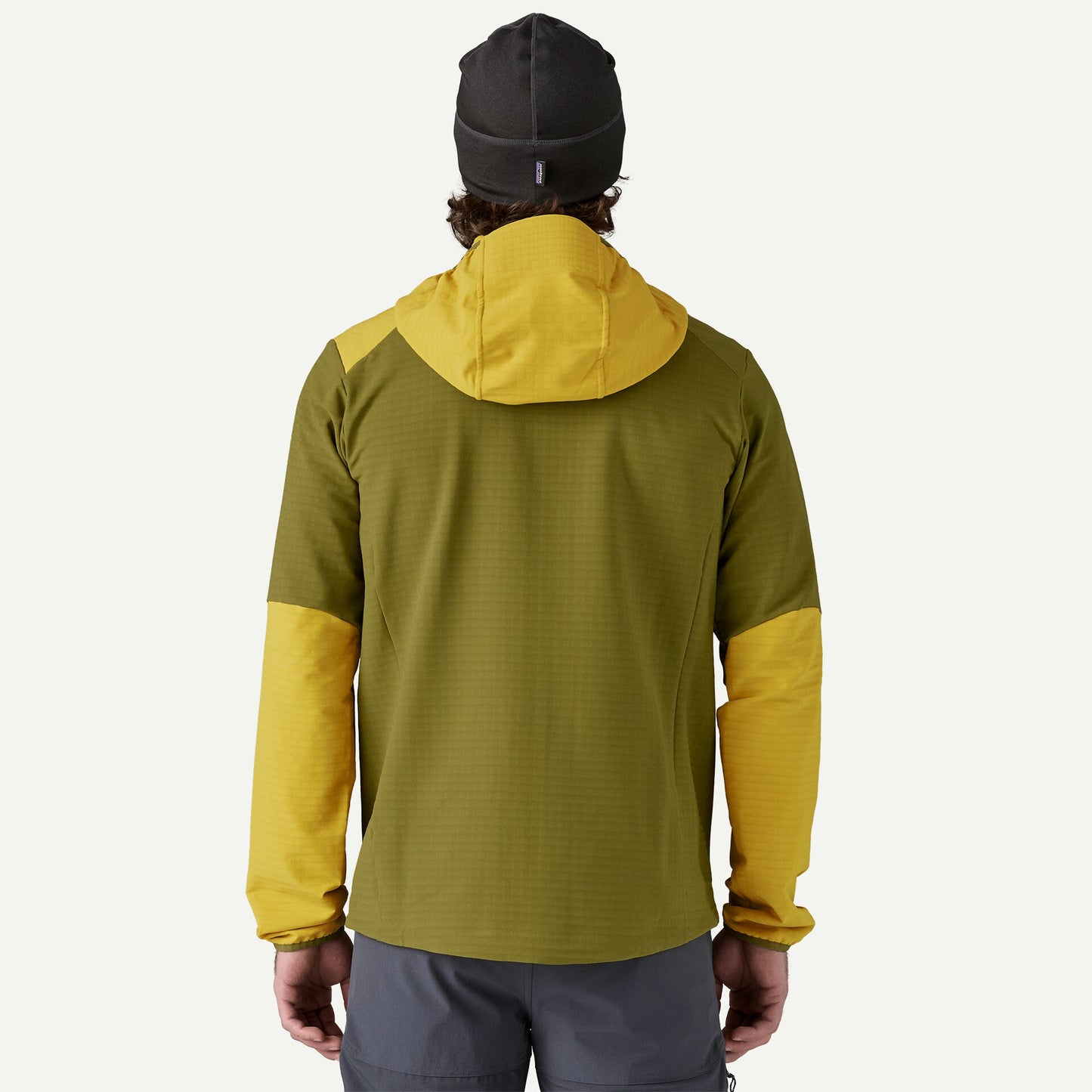 PATAGONIA Men's R1® TechFace Fleece Hoody cod. 83578 GRAZE GREEN