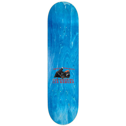Toy Machine Skateboard Deck Romero Wisecup 8.25" x 31.75"