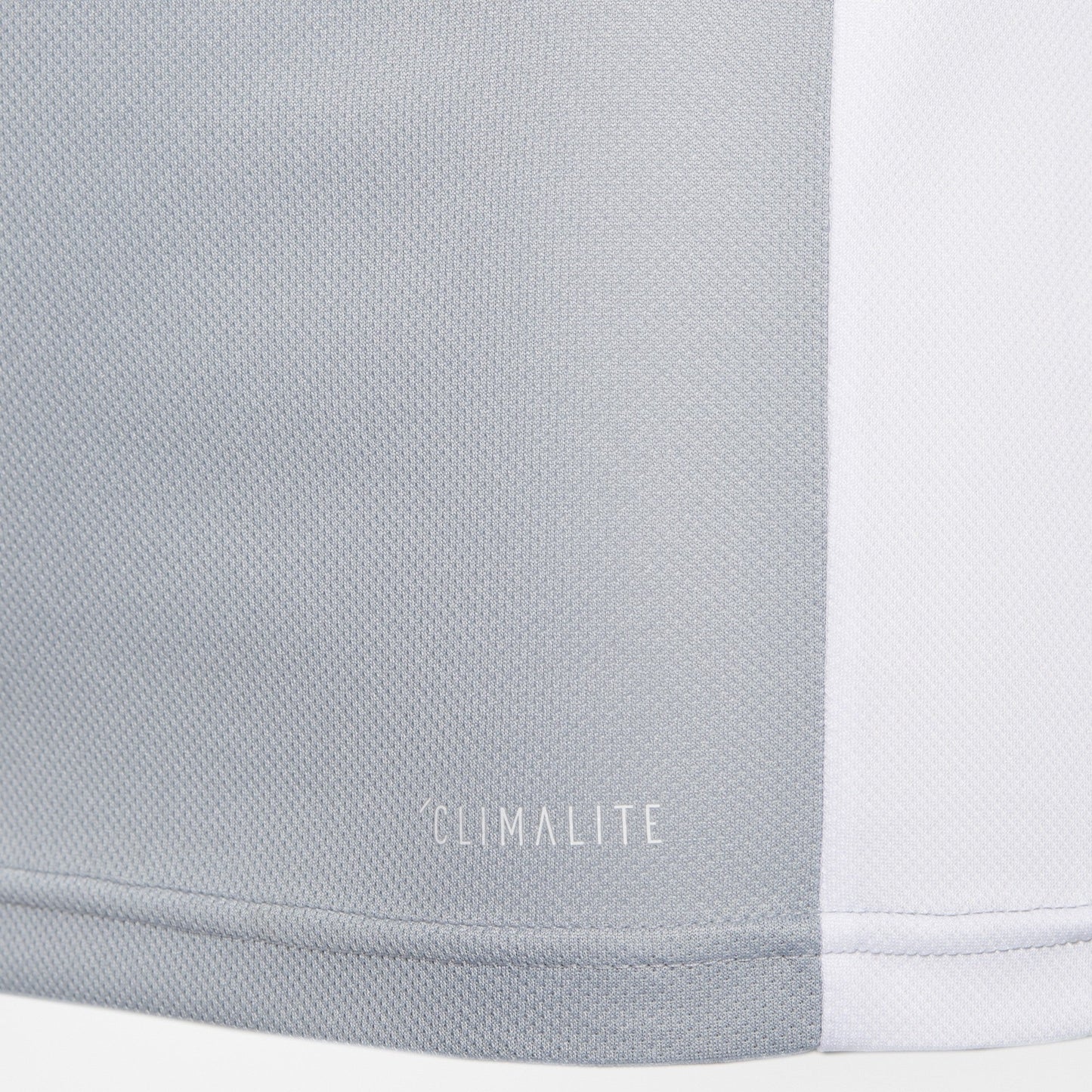 Youth Entrada 18 Training Jersey - Silver