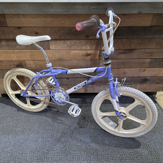 1987 Skyway Street Beat Survivor