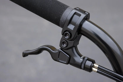 Sunday Forecaster Park Bike (Maca Perez Grasset Signature)